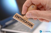 How did I crack my CBAP certification exam?