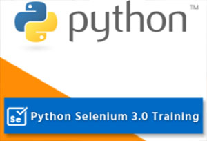 Python Selenium Training